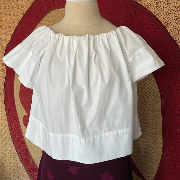 Like new Animale off the shoulder crop top - Picture 8 of 8